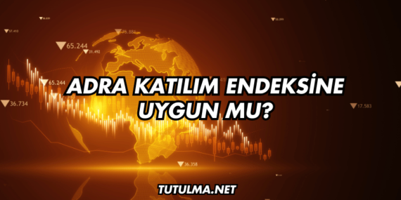Adra Katılım Endeksine Uygun mu?