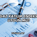 Ahgaz Katılım Endeksine Uygun mu?