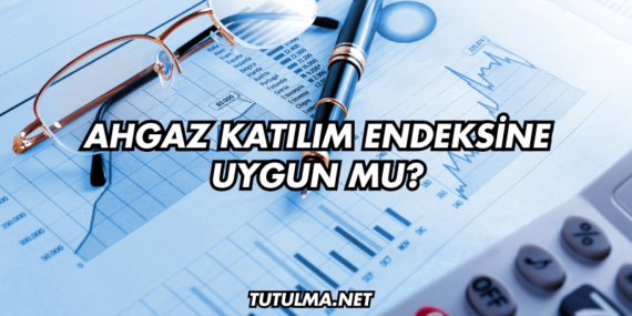 Ahgaz Katılım Endeksine Uygun mu?