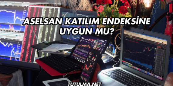 Aselsan Katılım Endeksine Uygun mu?