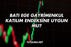 Batı Ege Gayrimenkul Katılım Endeksine Uygun mu?