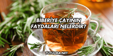 Biberiye Çayının Faydaları Nelerdir?