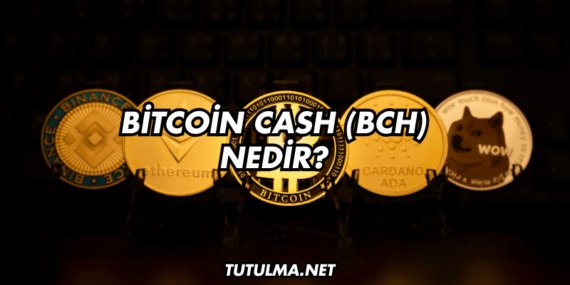 Bitcoin Cash (BCH) Nedir?