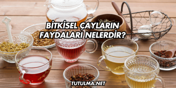 Bitkisel Çayların Faydaları Nelerdir?