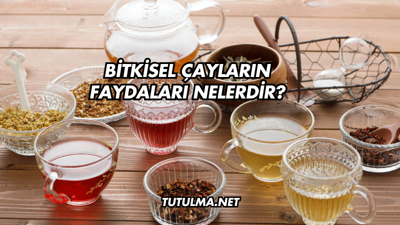 Bitkisel Çayların Faydaları Nelerdir?