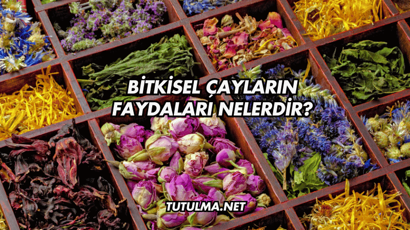 Bitkisel Çayların Faydaları Nelerdir?