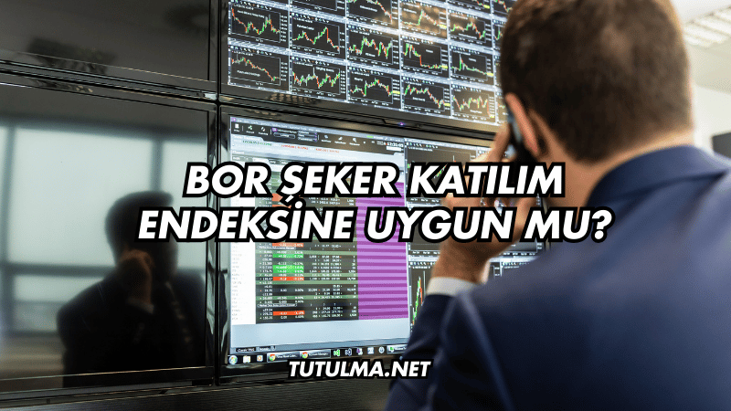 Bor Şeker Katılım Endeksine Uygun mu?