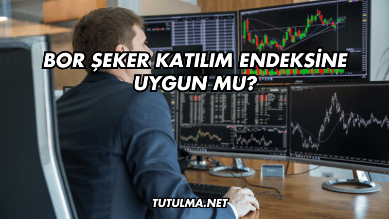 Bor Şeker Katılım Endeksine Uygun mu?