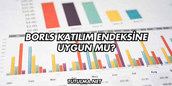 Borls Katılım Endeksine Uygun mu?