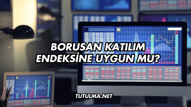 Borusan Katılım Endeksine Uygun mu?