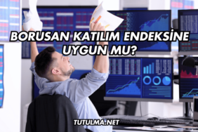 Borusan Katılım Endeksine Uygun mu?