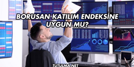 Borusan Katılım Endeksine Uygun mu?