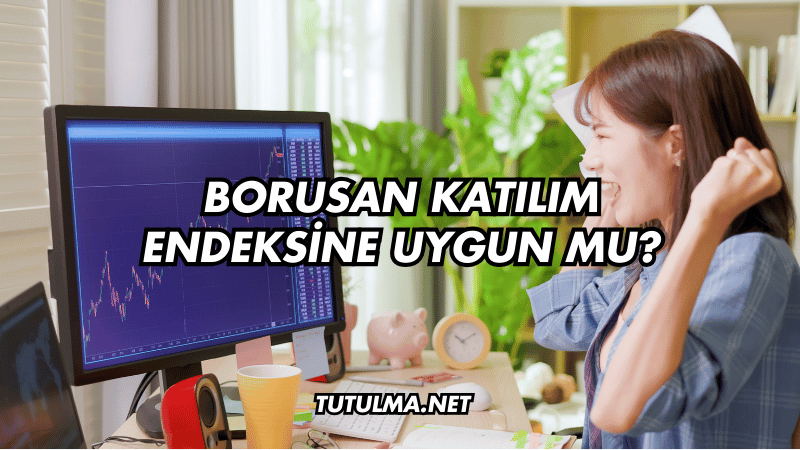 Borusan Katılım Endeksine Uygun mu?