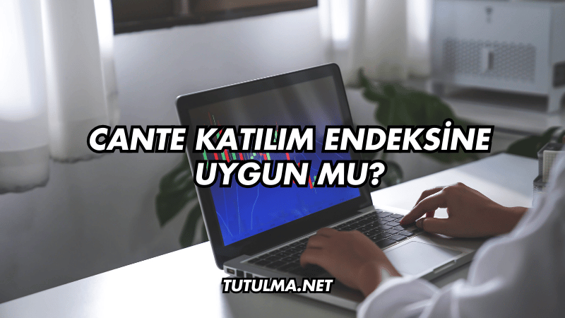 CANTE Katılım Endeksine Uygun mu?