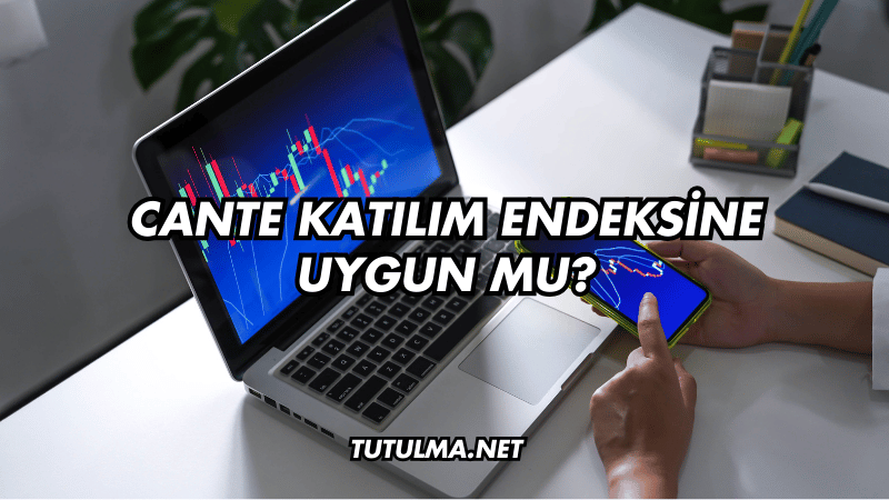 CANTE Katılım Endeksine Uygun mu?