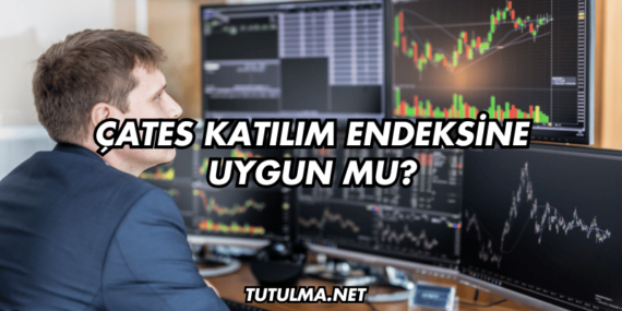 ÇATES Katılım Endeksine Uygun mu?