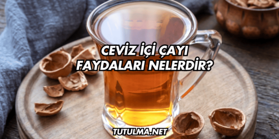 Ceviz İçi Çayı Faydaları Nelerdir?