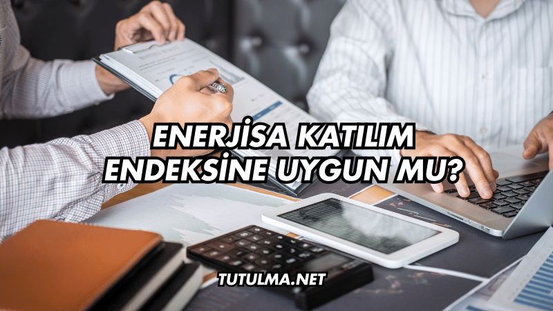 Enerjisa Katılım Endeksine Uygun mu?