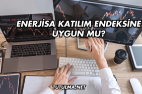 Enerjisa Katılım Endeksine Uygun mu?