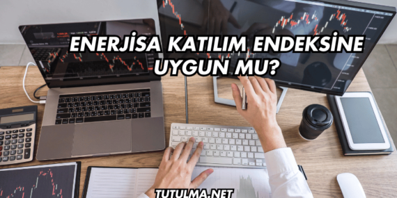 Enerjisa Katılım Endeksine Uygun mu?