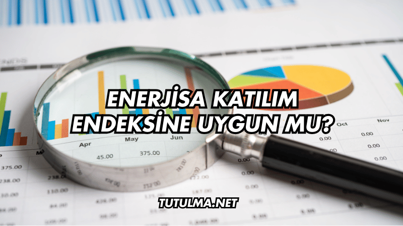 Enerjisa Katılım Endeksine Uygun mu?