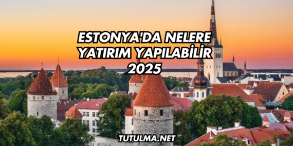 Estonya’da Nelere Yatırım Yapılabilir 2025