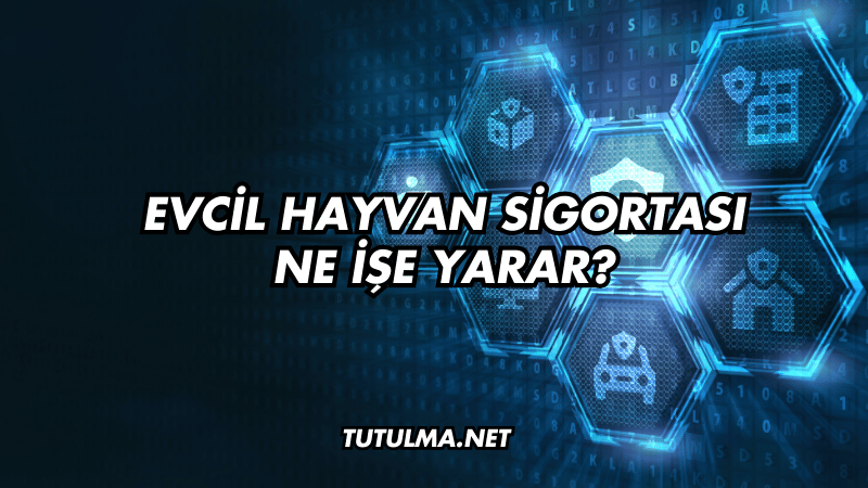 Evcil Hayvan Sigortası Ne İşe Yarar?
