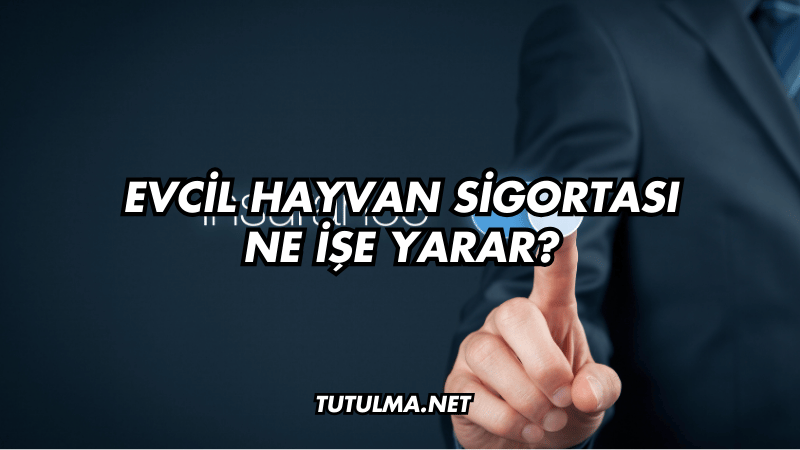 Evcil Hayvan Sigortası Ne İşe Yarar?