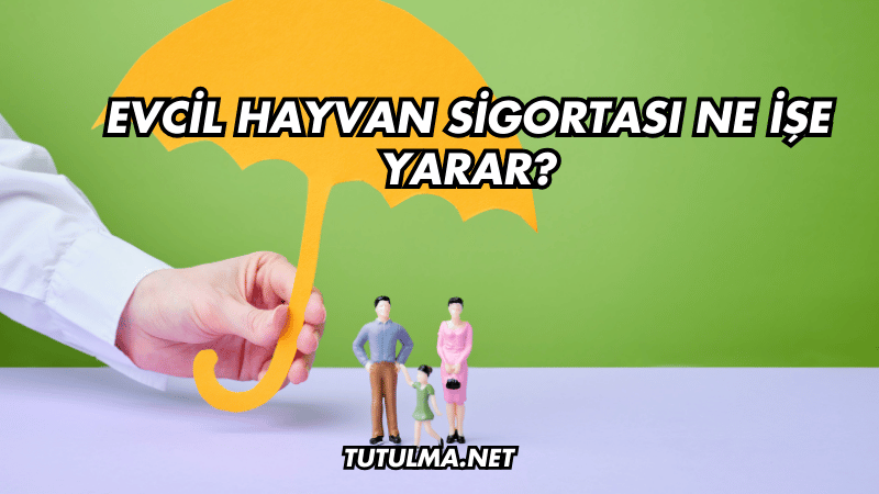Evcil Hayvan Sigortası Ne İşe Yarar?