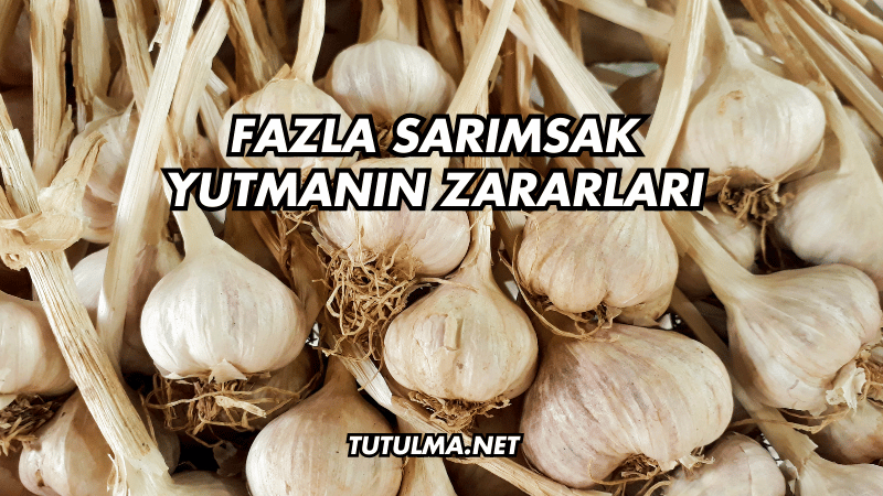 Fazla Sarımsak Yutmanın Zararları