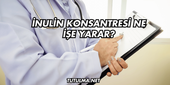 İnulin Konsantresi Ne İşe Yarar?