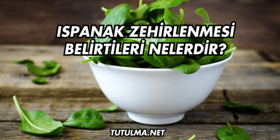 Ispanak Zehirlenmesi Belirtileri Nelerdir?