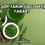 Jasop Tarım İlacı Ne İşe Yarar?