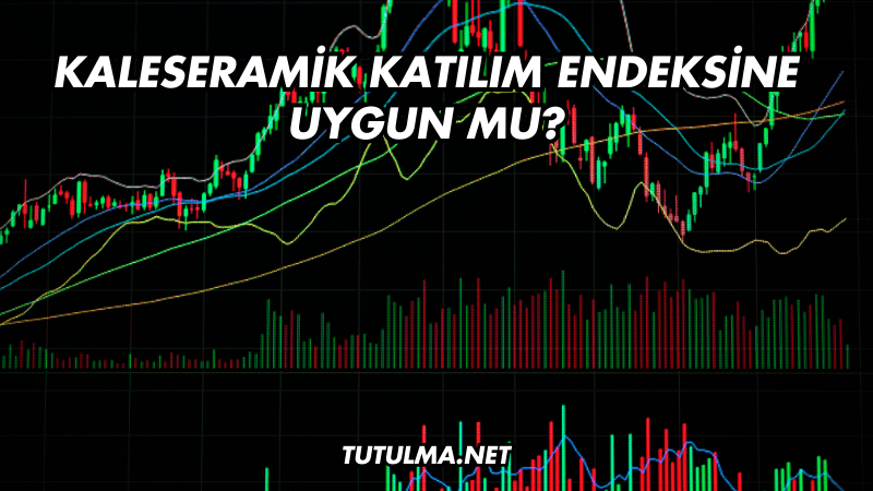 Kaleseramik Katılım Endeksine Uygun mu?