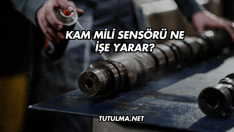 Kam Mili Sensörü Ne İşe Yarar?