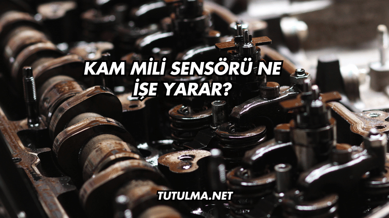 Kam Mili Sensörü Ne İşe Yarar?