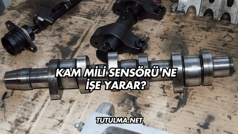 Kam Mili Sensörü Ne İşe Yarar?