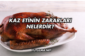 Kaz Etinin Zararları Nelerdir?