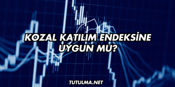 Kozal Katılım Endeksine Uygun mu?
