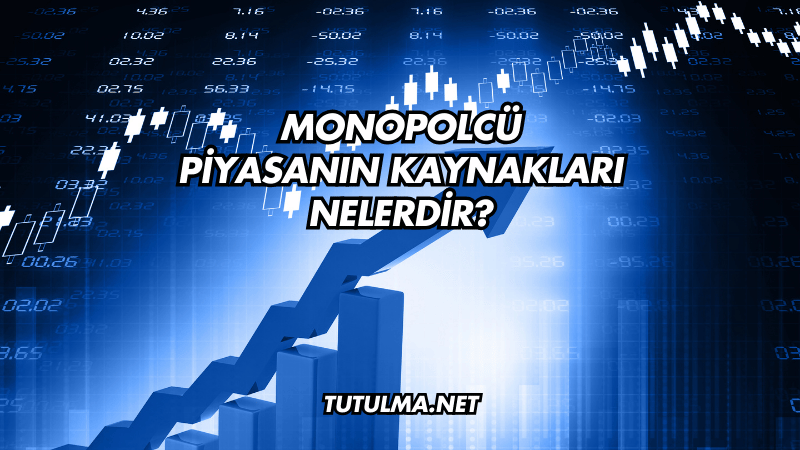 Monopolcü Piyasanın Kaynakları Nelerdir?
