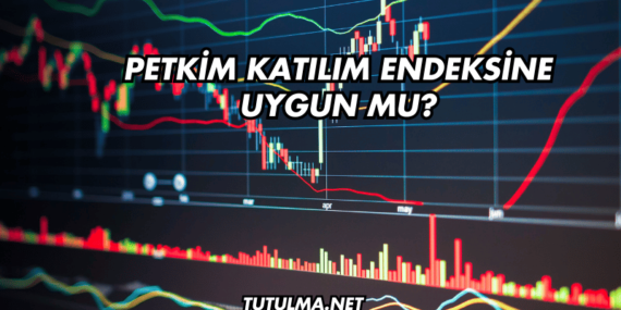 Petkim Katılım Endeksine Uygun mu?