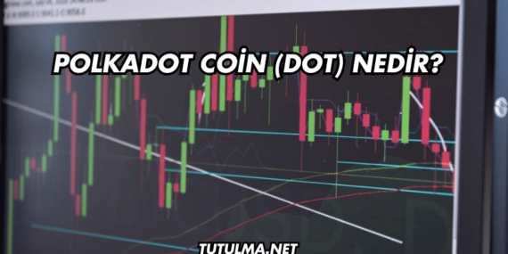 Polkadot Coin (DOT) Nedir?