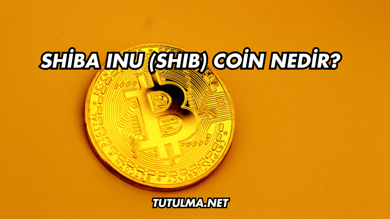 Shiba Inu (SHIB) Coin Nedir?