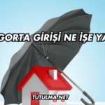 Sigorta Girişi Ne İşe Yarar?
