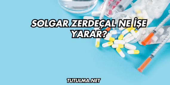 Solgar Zerdeçal Ne İşe Yarar?