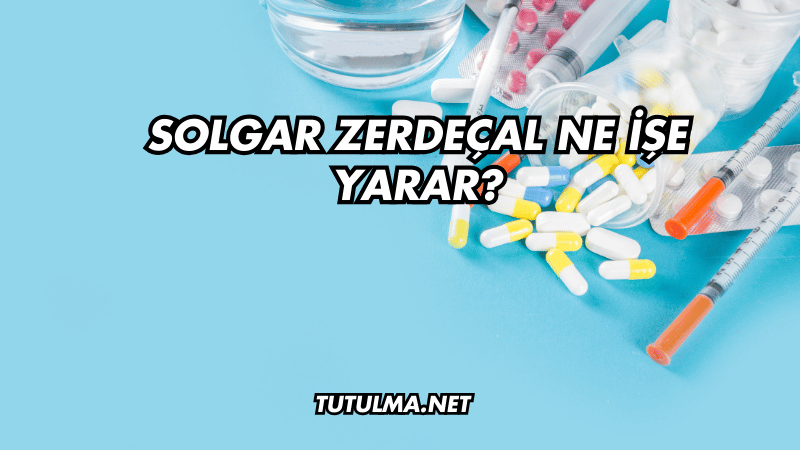 Solgar Zerdeçal Ne İşe Yarar?