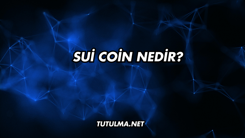 Sui Coin Nedir?