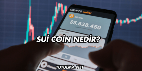 Sui Coin Nedir?