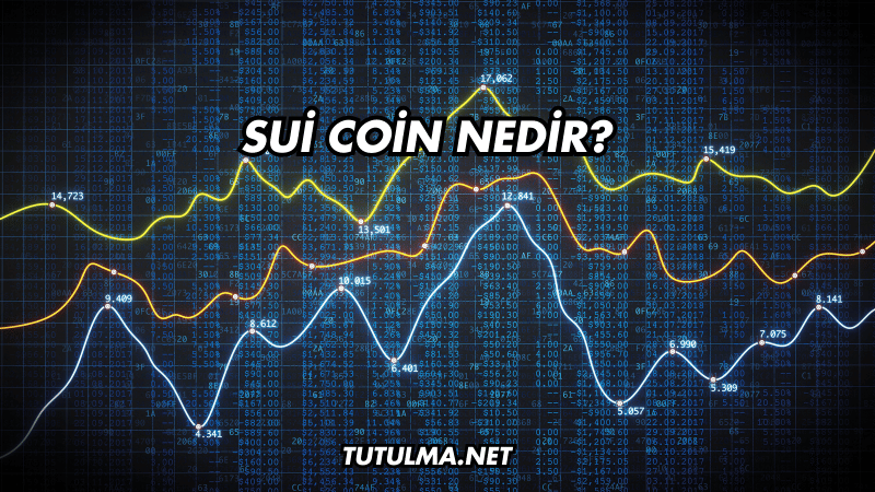 Sui Coin Nedir?