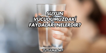 Suyun Vücudumuzdaki Faydaları Nelerdir?